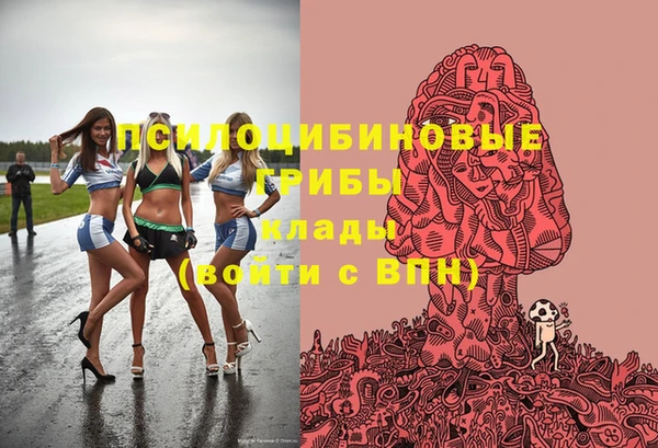эйфоретик Алзамай