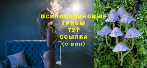 эйфоретик Алзамай