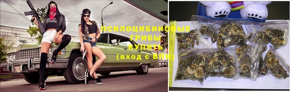 эйфоретик Алзамай